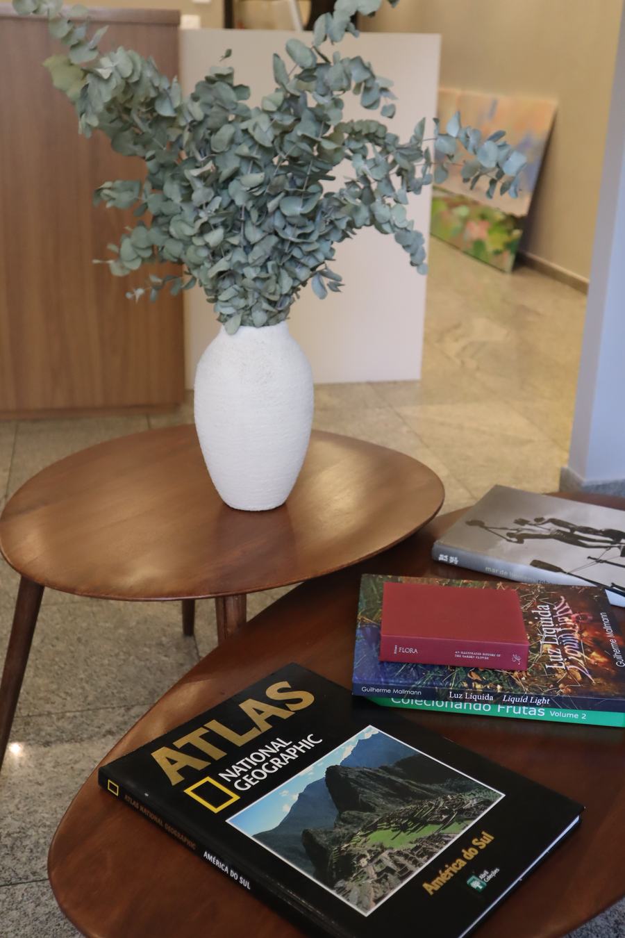 Detalhe do ambiente da Clínica Tera